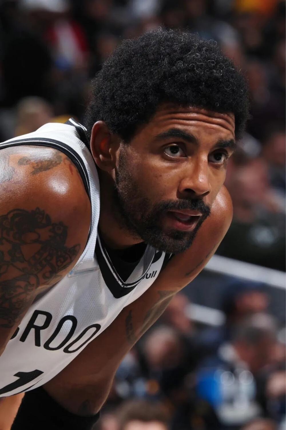 马雷斯卡坚 马雷斯卡坚